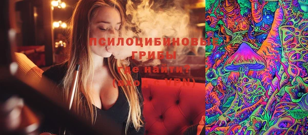 молекула духа Наволоки