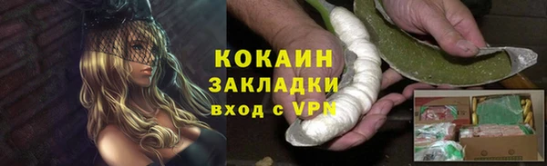 прущие грибы Надым