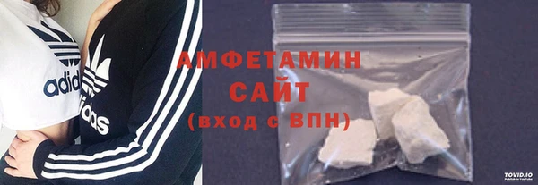 прущие грибы Надым