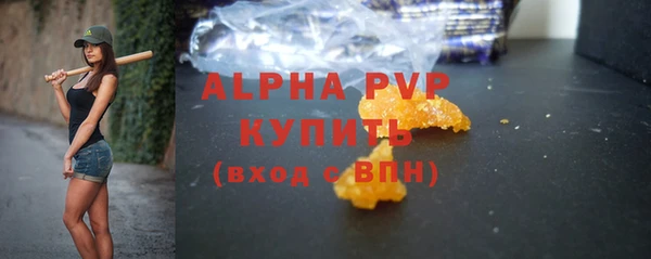 прущие грибы Надым