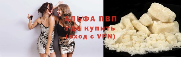 прущие грибы Надым
