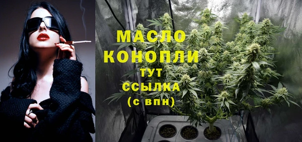 молекула духа Наволоки