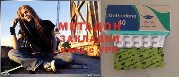 прущие грибы Надым