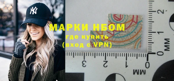прущие грибы Надым